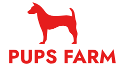 puppies farm